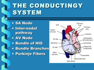 4
THE CONDUCTINGYTHE CONDUCTINGY
SYSTEMSYSTEM
• SA NodeSA Node
• Inter-nodalInter-nodal
pathwaypathway
• AV NodeAV Node
• Bundle of HISBundle of HIS
• Bundle BranchesBundle Branches
• Purkinje FibersPurkinje Fibers
 