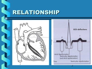 5
RELATIONSHIPRELATIONSHIP
 