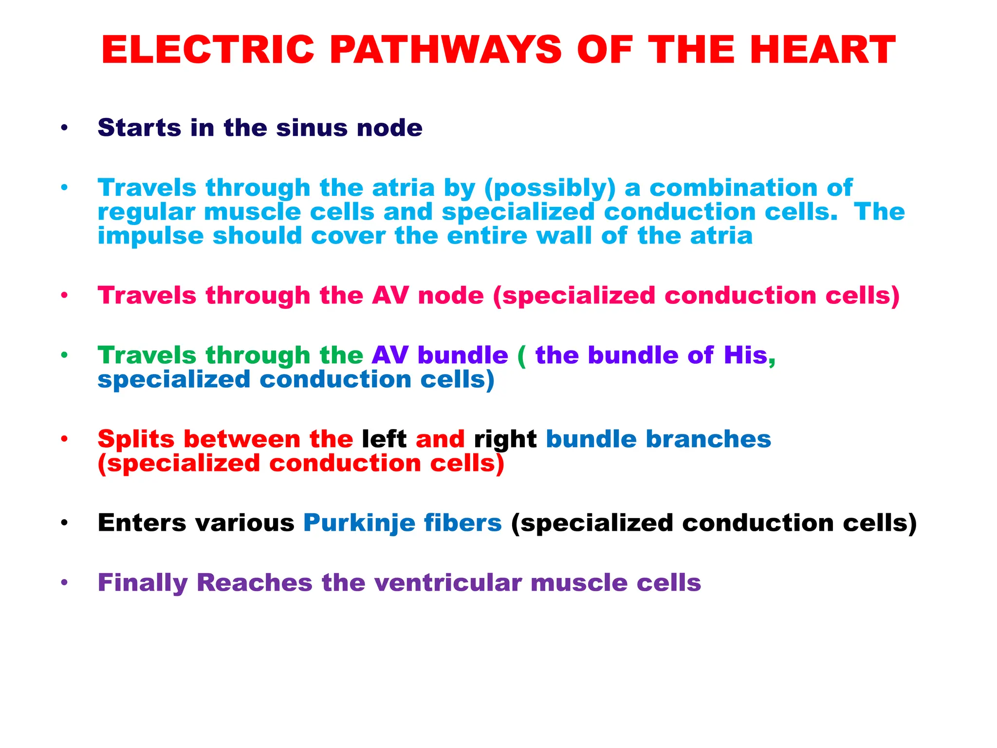 ELECTRIC PATHWAYS OF THE HEART
• Starts in the sinus node
• Travels through the atria by (possibly) a combination of
regular muscle cells and specialized conduction cells. The
impulse should cover the entire wall of the atria
• Travels through the AV node (specialized conduction cells)
• Travels through the AV bundle ( the bundle of His,
specialized conduction cells)
• Splits between the left and right bundle branches
(specialized conduction cells)
• Enters various Purkinje fibers (specialized conduction cells)
• Finally Reaches the ventricular muscle cells
 