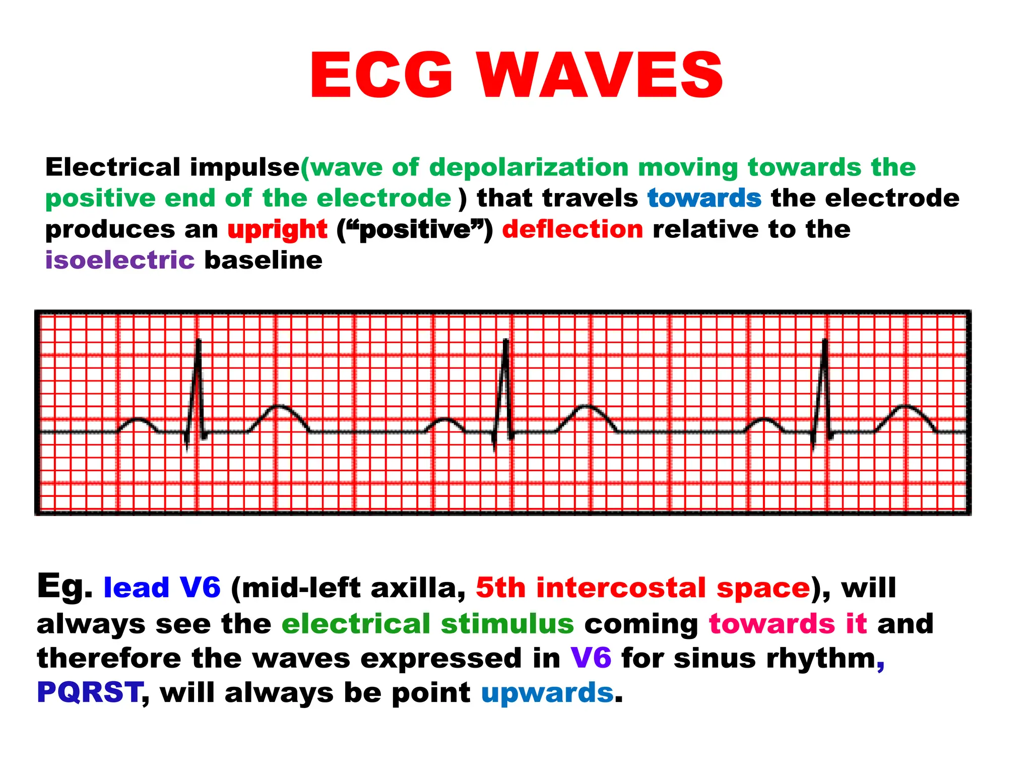 ECG WAVES
Electrical impulse(wave of depolarization moving towards the
positive end of the electrode ) that travels towards the electrode
produces an upright (“positive”) deflection relative to the
isoelectric baseline
Eg. lead V6 (mid-left axilla, 5th intercostal space), will
always see the electrical stimulus coming towards it and
therefore the waves expressed in V6 for sinus rhythm,
PQRST, will always be point upwards.
 