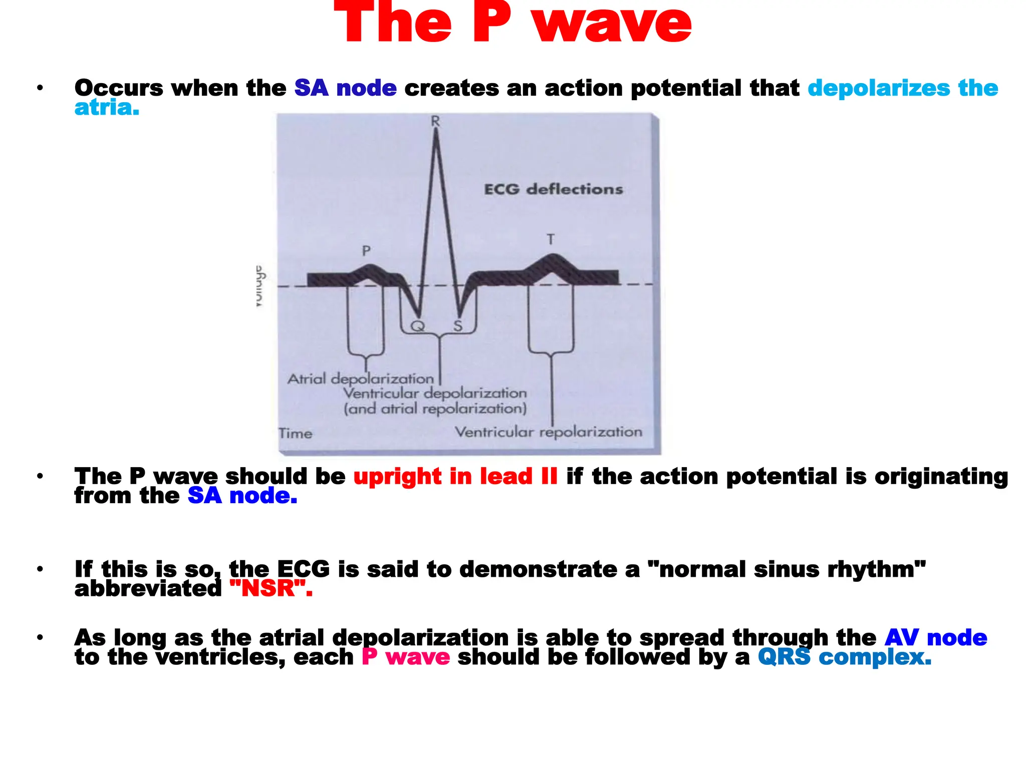 The P wave
• Occurs when the SA node creates an action potential that depolarizes the
atria.
• The P wave should be upright in lead II if the action potential is originating
from the SA node.
• If this is so, the ECG is said to demonstrate a "normal sinus rhythm"
abbreviated "NSR".
• As long as the atrial depolarization is able to spread through the AV node
to the ventricles, each P wave should be followed by a QRS complex.
 