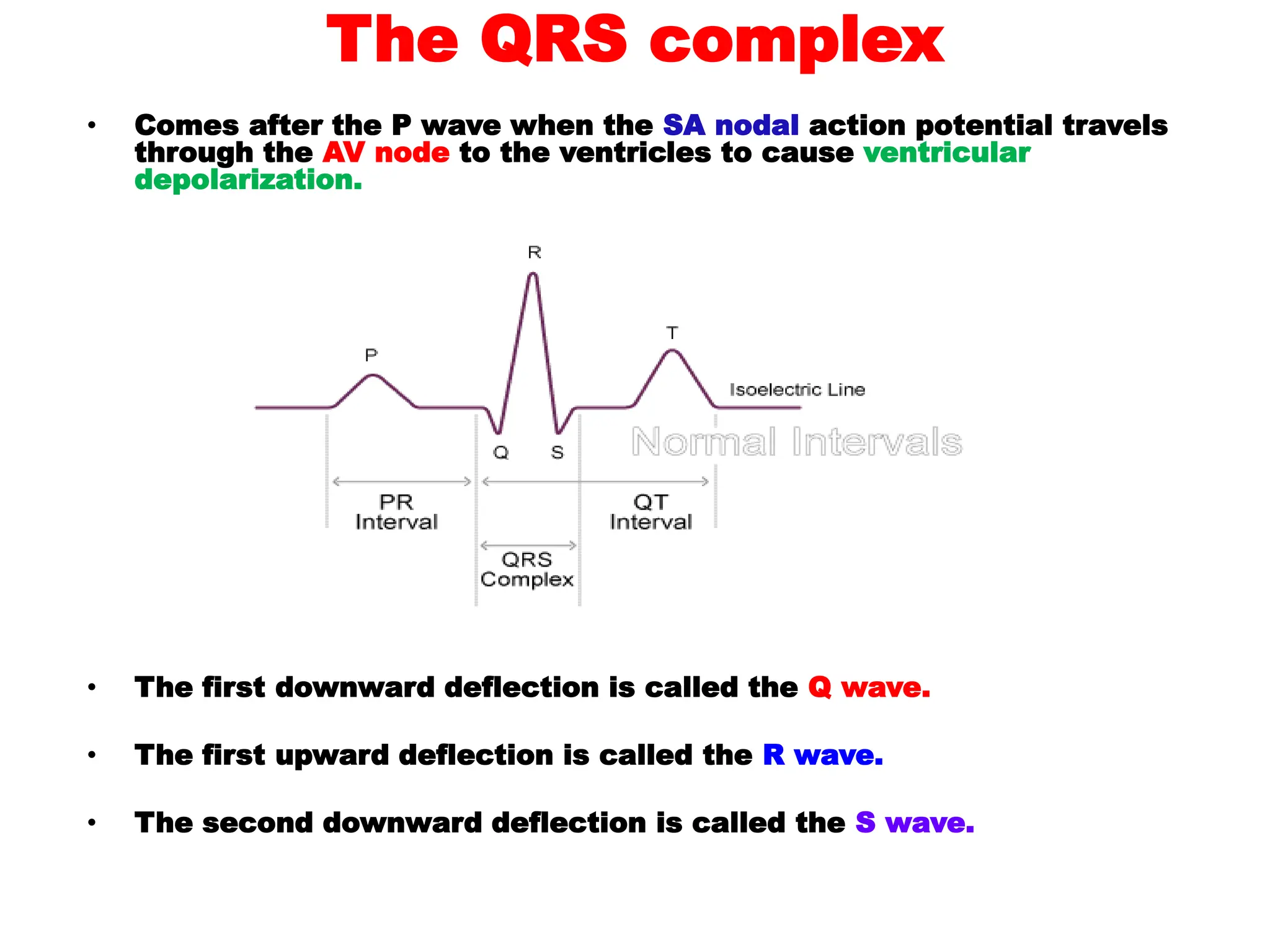 The QRS complex
• Comes after the P wave when the SA nodal action potential travels
through the AV node to the ventricles to cause ventricular
depolarization.
• The first downward deflection is called the Q wave.
• The first upward deflection is called the R wave.
• The second downward deflection is called the S wave.
 
