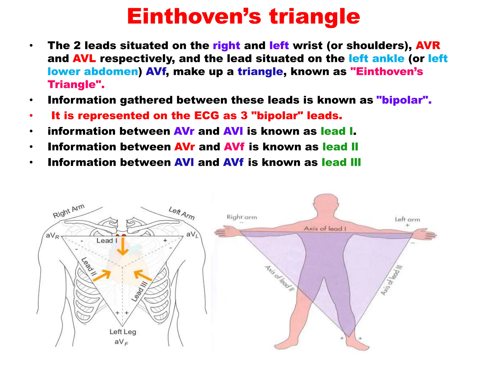 Einthoven’s triangle
• The 2 leads situated on the right and left wrist (or shoulders), AVR
and AVL respectively, and the lead situated on the left ankle (or left
lower abdomen) AVf, make up a triangle, known as "Einthoven’s
Triangle".
• Information gathered between these leads is known as "bipolar".
• It is represented on the ECG as 3 "bipolar" leads.
• information between AVr and AVl is known as lead l.
• Information between AVr and AVf is known as lead ll
• Information between AVl and AVf is known as lead lll
 