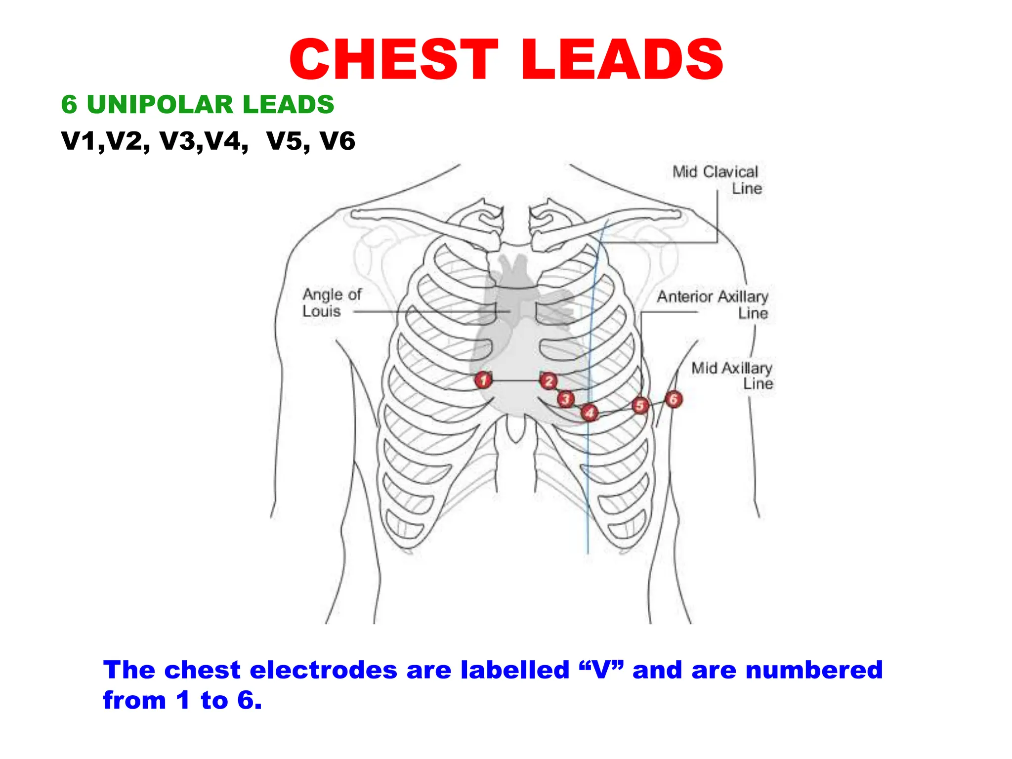 CHEST LEADS
6 UNIPOLAR LEADS
V1,V2, V3,V4, V5, V6
The chest electrodes are labelled “V” and are numbered
from 1 to 6.
 