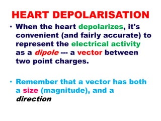 HEART DEPOLARISATION
• When the heart depolarizes, it's
convenient (and fairly accurate) to
represent the electrical activity
as a dipole --- a vector between
two point charges.
• Remember that a vector has both
a size (magnitude), and a
direction
 
