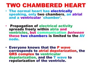 TWO CHAMBERED HEART
• The normal heart has electrically
speaking, only two chambers, an atrial
and a ventricular `chamber'.
• Propagation of electrical activity
spreads freely within atria and
ventricles, but communication between
these two chambers is limited to the AV
node.
• Everyone knows that the P wave
corresponds to atrial depolarization, the
QRS complex to ventricular
depolarization, and the T wave to
repolarization of the ventricle.
 