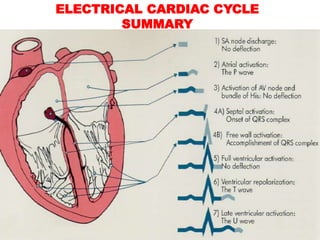 ELECTRICAL CARDIAC CYCLE
SUMMARY
 