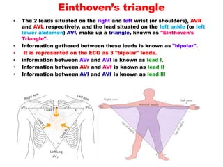 Einthoven’s triangle
• The 2 leads situated on the right and left wrist (or shoulders), AVR
and AVL respectively, and the lead situated on the left ankle (or left
lower abdomen) AVf, make up a triangle, known as "Einthoven’s
Triangle".
• Information gathered between these leads is known as "bipolar".
• It is represented on the ECG as 3 "bipolar" leads.
• information between AVr and AVl is known as lead l.
• Information between AVr and AVf is known as lead ll
• Information between AVl and AVf is known as lead lll
 