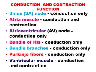 CONDUCTION AND CONTRACTION
FUNCTION
• Sinus (SA) node - conduction only
• Atria muscle - conduction and
contraction
• Atrioventricular (AV) node -
conduction only
• Bundle of His - conduction only
• Bundle branches - conduction only
• Purkinje fibers - conduction only
• Ventricular muscle - conduction
and contraction
 