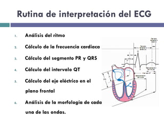 Rutina de interpretación del ECG 
1. Análisis del ritmo 
2. Cálculo de la frecuencia cardiaca 
3. Cálculo del segmento PR y QRS 
4. Cálculo del intervalo QT 
5. Cálculo del eje eléctrico en el 
plano frontal 
6. Análisis de la morfología de cada 
una de las ondas. 
 
