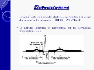 Electrocardiograma
 La visión frontal de la actividad eléctrica es representada por las seis
derivaciones de los miembros: DI-DII-DIII- aVR-aVL-aVF
 La actividad horizontal es representada por las derivaciones
precordiales: V1. V6.
 
