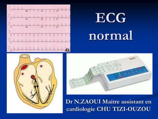 ECG
normal
Dr N.ZAOUI Maitre assistant en
cardiologie CHU TIZI-OUZOU
 