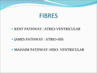 FIBRES KENT PATHWAY : ATRIO-VENTRICULAR JAMES PATHWAY : ATRIO-HIS MAHAIM PATHWAY: HISO- VENTRICULAR 