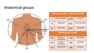Comprehensive Introduction to Electrocardiogram (ECG) Fundamentals and ...