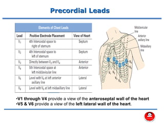 Comprehensive Assessment of Cardiovascular System Using 12 Lead ECG | PDF