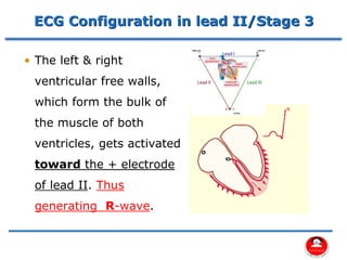 Comprehensive Assessment of Cardiovascular System Using 12 Lead ECG | PDF