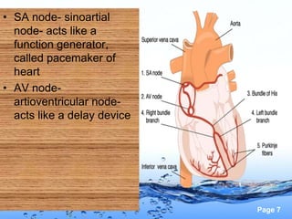 • SA node- sinoartial
  node- acts like a
  function generator,
  called pacemaker of
  heart
• AV node-
  artioventricular node-
  acts like a delay device




                             Page 7
 