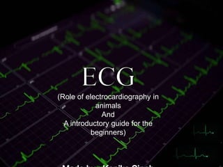 (Role of electrocardiography in
animals
And
A introductory guide for the
beginners)
 
