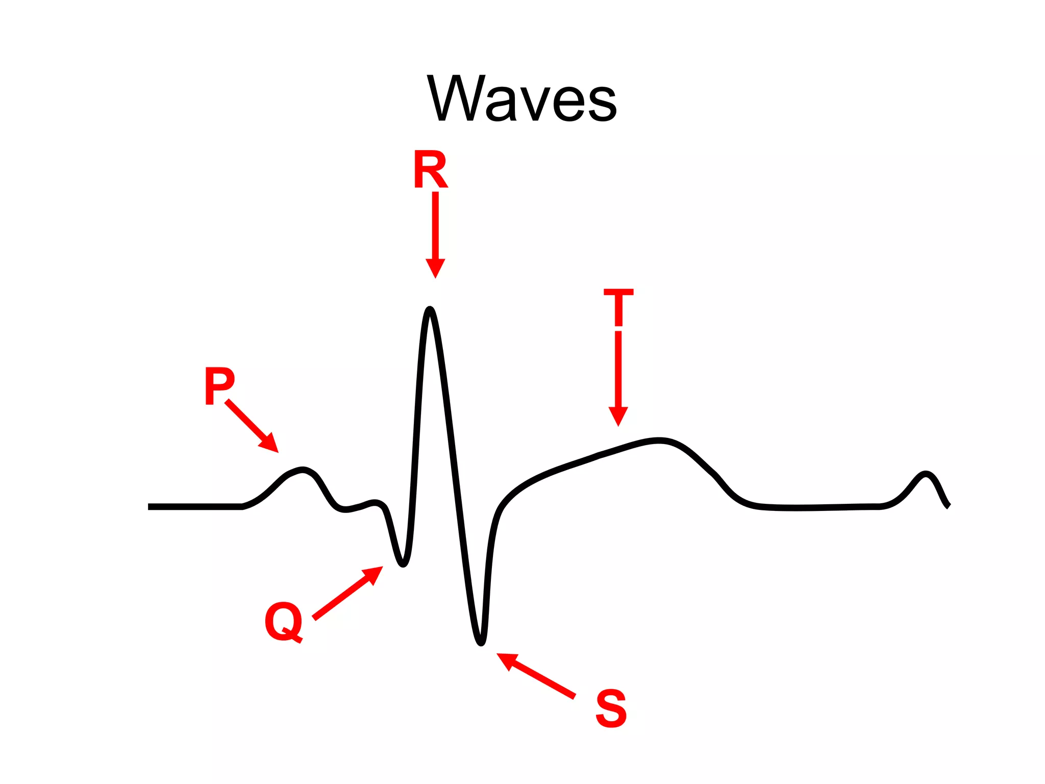 ECG ppt.ppt