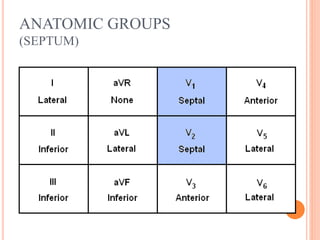 ANATOMIC GROUPS
(SEPTUM)
 