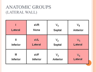 ANATOMIC GROUPS
(LATERAL WALL)
 
