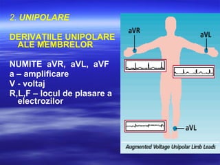 2. UNIPOLARE
DERIVAŢIILE UNIPOLARE
ALE MEMBRELOR
NUMITE aVR, aVL, aVF
a – amplificare
V - voltaj
R,L,F – locul de plasare a
electrozilor
 