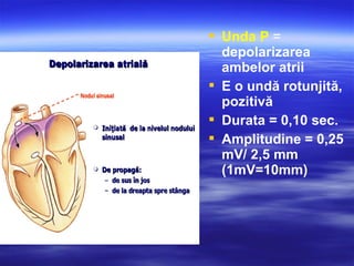  Unda P =
depolarizarea
ambelor atrii
 E o undă rotunjită,
pozitivă
 Durata = 0,10 sec.
 Amplitudine = 0,25
mV/ 2,5 mm
(1mV=10mm)
 