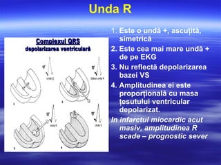 Unda R
1. Este o undă +, ascuţită,
simetrică
2. Este cea mai mare undă +
de pe EKG
3. Nu reflectă depolarizarea
bazei VS
4. Amplitudinea ei este
proporţională cu masa
ţesutului ventricular
depolarizat.
In infarctul miocardic acut
masiv, amplitudinea R
scade – prognostic sever
 