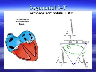 Segmentul SSegmentul S--TT
 