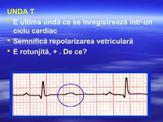 UNDA T
 E ultima undă ce se înregistrează într-un
ciclu cardiac
 Semnifică repolarizarea vetriculară
 E rotunjită, + . De ce?
 