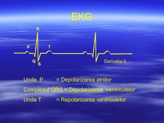 Unda P = Depolarizarea atriilor
Complexul QRS = Depolarizarea ventriculelor
Unda T = Repolarizarea ventriculelor
Derivatia II
EKG
 