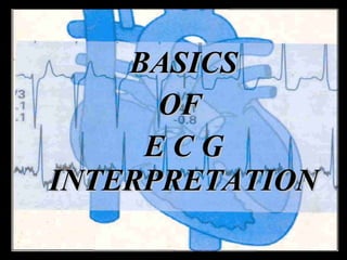 BASICS OF  E C G   INTERPRETATION 