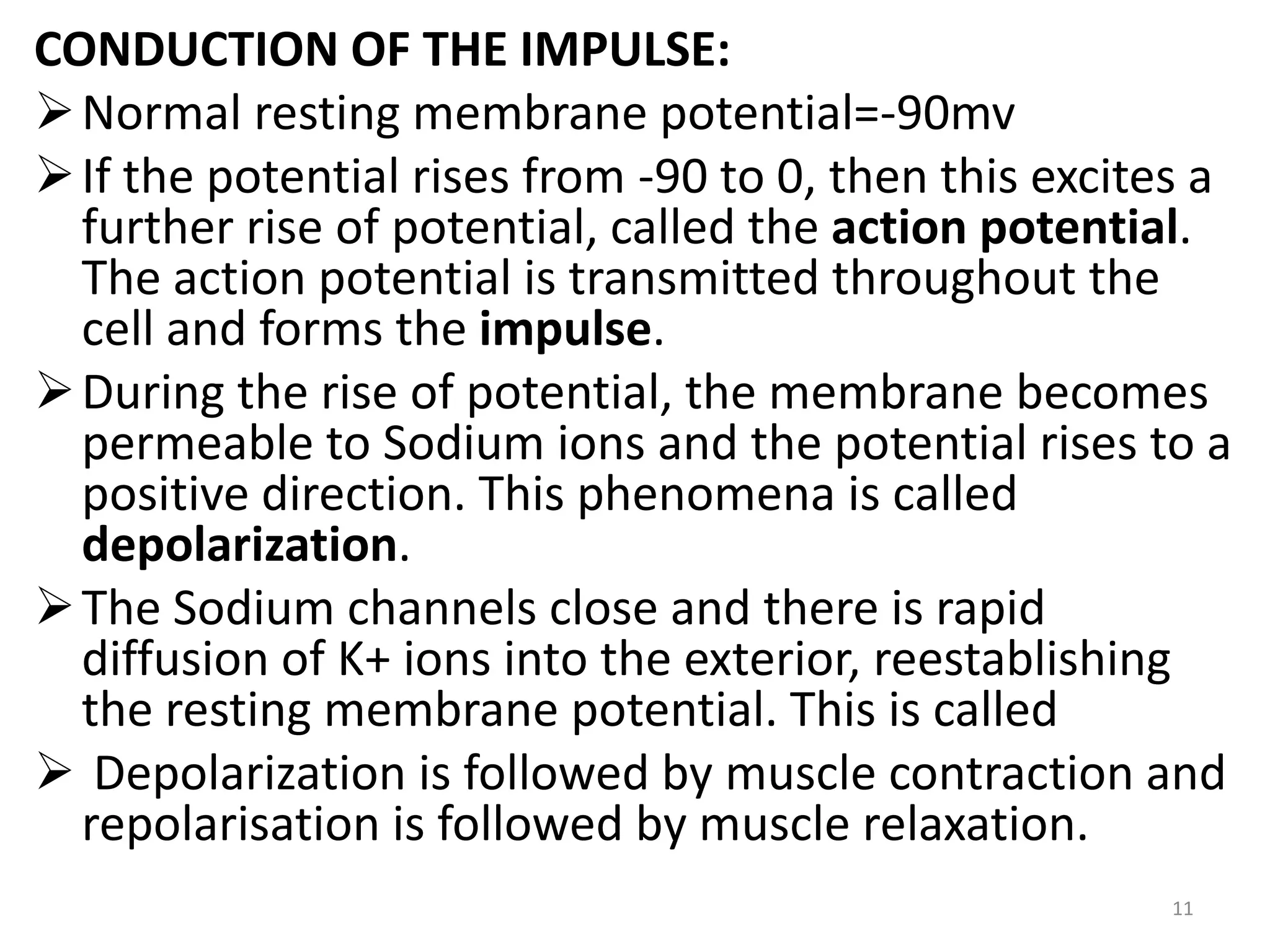 CONDUCTION OF THE IMPULSE:
Normal resting membrane potential=-90mv
If the potential rises from -90 to 0, then this excites a
further rise of potential, called the action potential.
The action potential is transmitted throughout the
cell and forms the impulse.
During the rise of potential, the membrane becomes
permeable to Sodium ions and the potential rises to a
positive direction. This phenomena is called
depolarization.
The Sodium channels close and there is rapid
diffusion of K+ ions into the exterior, reestablishing
the resting membrane potential. This is called
 Depolarization is followed by muscle contraction and
repolarisation is followed by muscle relaxation.
11
 