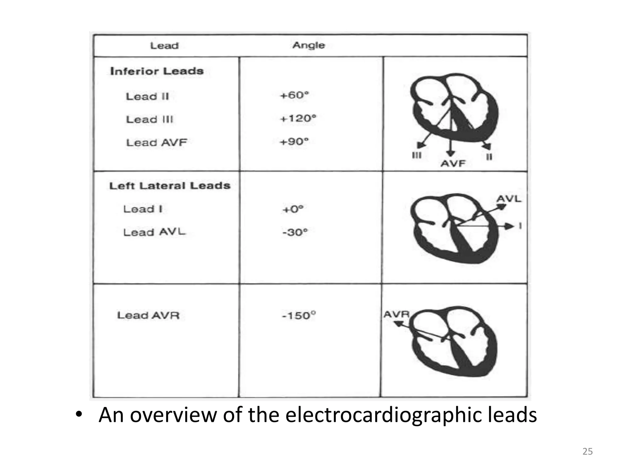 • An overview of the electrocardiographic leads
25
 