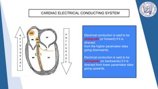 Ecg report normal sinus rhythm with variants of qrs complex.pptx