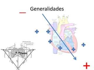 Generalidades