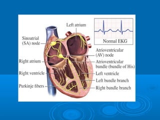 Ec gs  for medical student