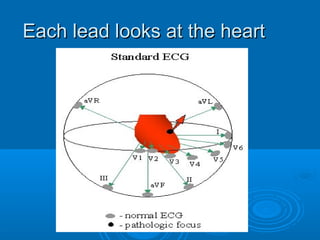 Each lead looks at the heart
 