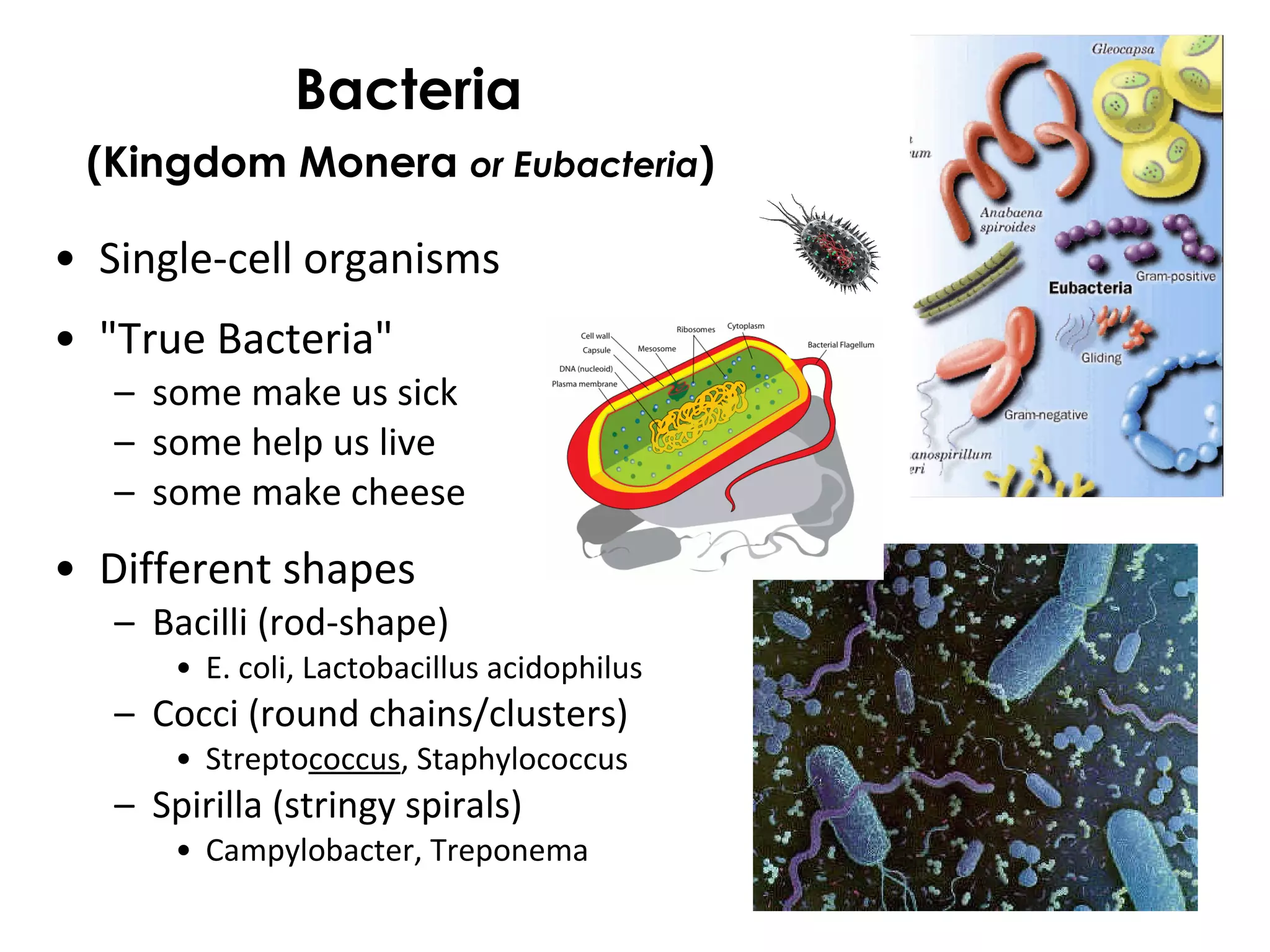ECGS Module 10 | PPT