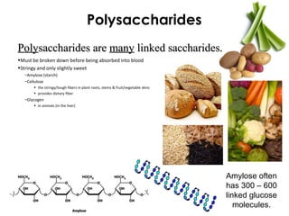 Polysaccharides
Amylose often
has 300 – 600
linked glucose
molecules.
PolyPolysaccharides aresaccharides are manymany linked saccharides.linked saccharides.
•Must be broken down before being absorbed into blood
•Stringy and only slightly sweet
–Amylose (starch)
–Cellulose
• the stringy/tough fibers in plant roots, stems & fruit/vegetable skins
• provides dietary fiber
–Glycogen
• in animals (in the liver)
 