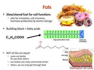 Fats
• Slow/stored fuel for cell functions
– also for insulation, cell structure,
hormone production & vitamin storage
• Building block = fatty acids
• NOT all fats are equal!
– some are better
for you than others
– our bodies can make some kinds of fats
– others, we can only get through food
C12H25COOH
 