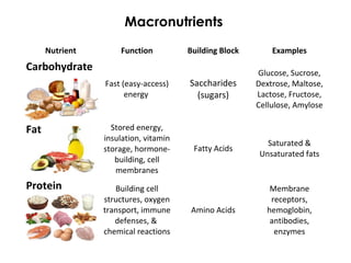 Macronutrients
Nutrient Function Building Block Examples
Carbohydrate
Fast (easy-access)
energy
Saccharides
(sugars)
Glucose, Sucrose,
Dextrose, Maltose,
Lactose, Fructose,
Cellulose, Amylose
Fat Stored energy,
insulation, vitamin
storage, hormone-
building, cell
membranes
Fatty Acids
Saturated &
Unsaturated fats
Protein Building cell
structures, oxygen
transport, immune
defenses, &
chemical reactions
Amino Acids
Membrane
receptors,
hemoglobin,
antibodies,
enzymes
 