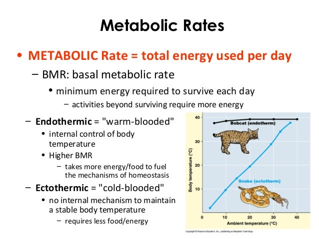 ecgs module 12 basal body temperature chart examples