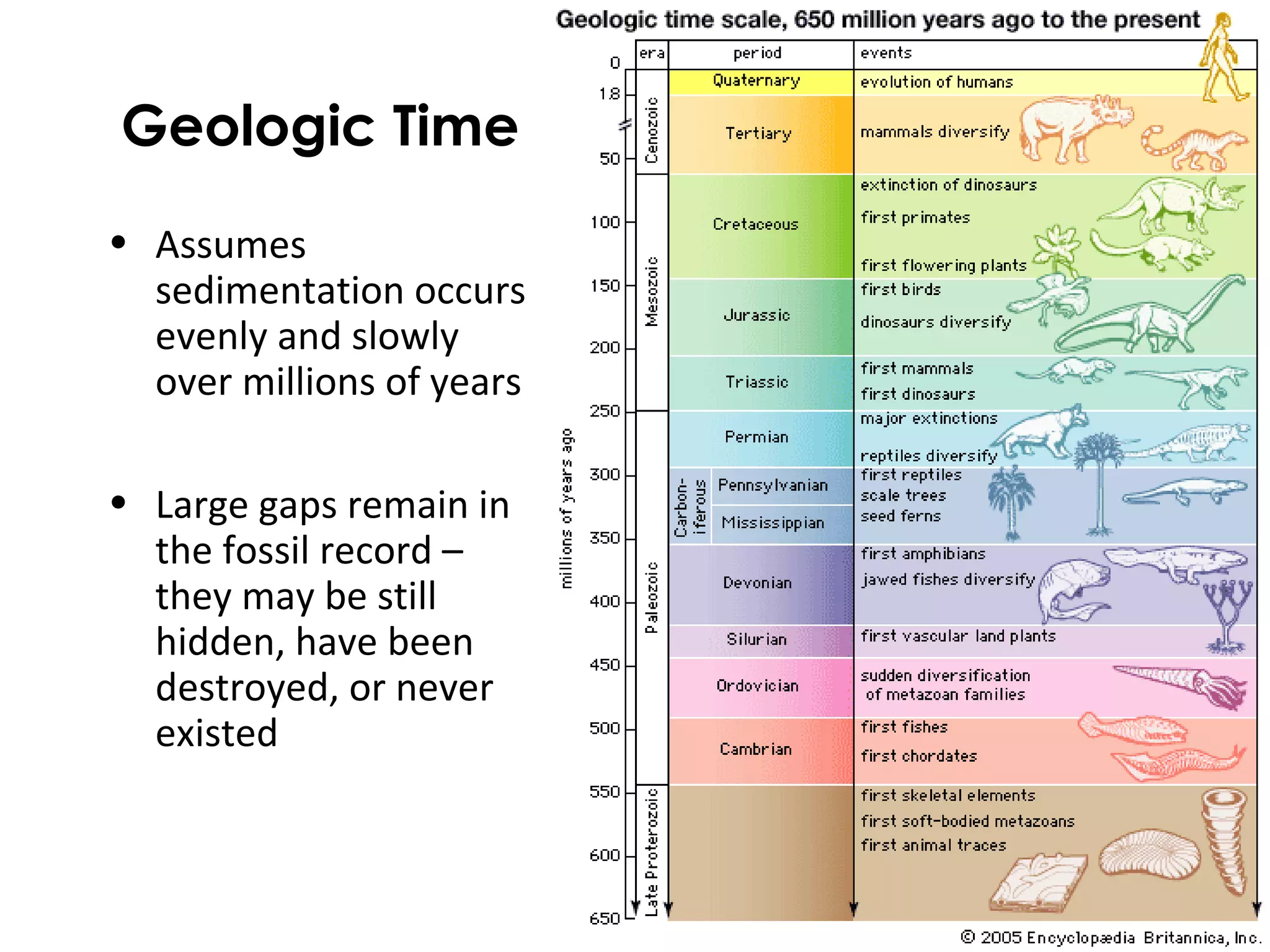 Geologic Time 
• Assumes 
sedimentation occurs 
evenly and slowly 
over millions of years 
• Large gaps remain in 
the fossil record – 
they may be still 
hidden, have been 
destroyed, or never 
existed 
 