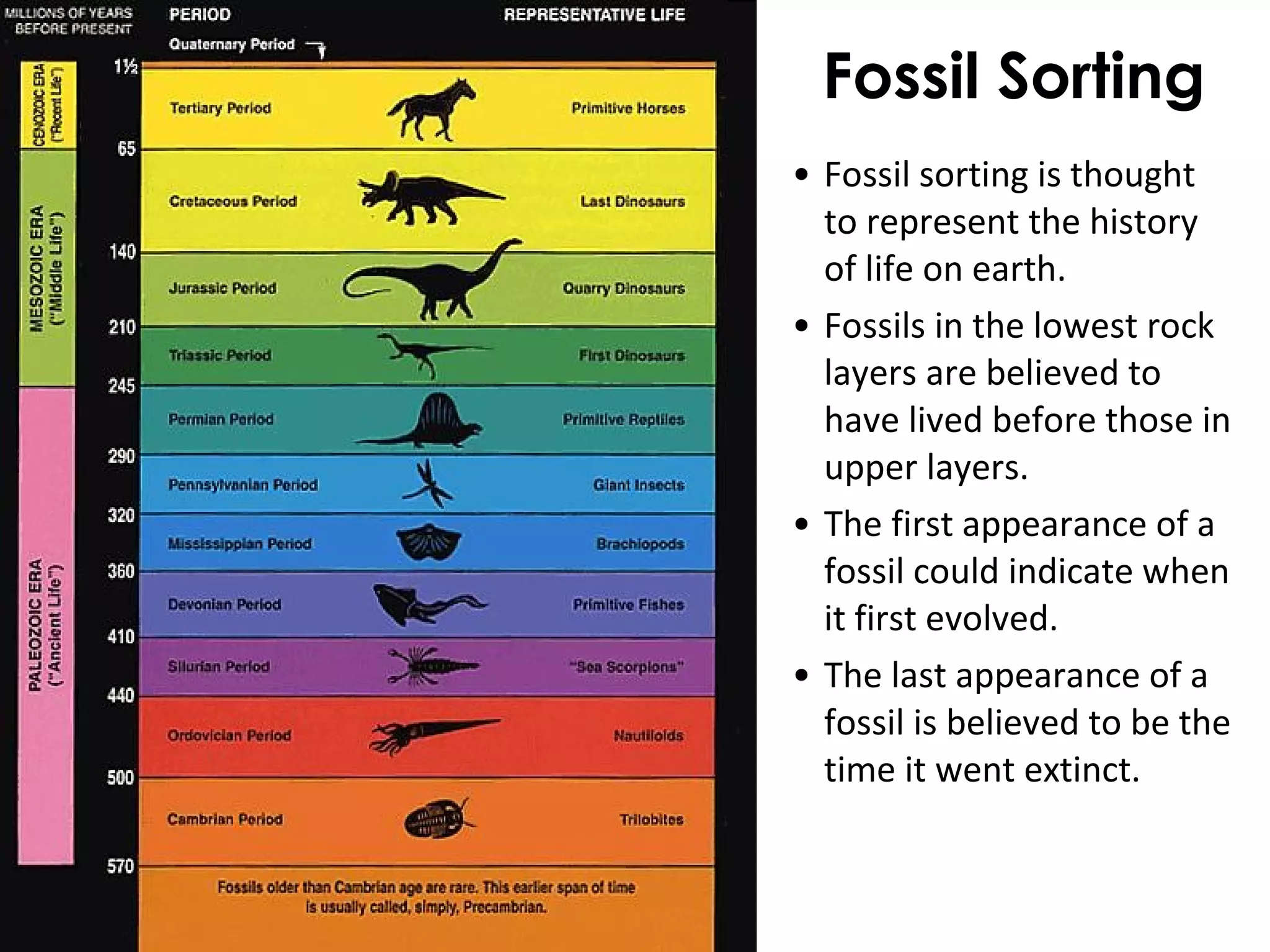 Fossil Sorting 
• Fossil sorting is thought 
to represent the history 
of life on earth. 
• Fossils in the lowest rock 
layers are believed to 
have lived before those in 
upper layers. 
• The first appearance of a 
fossil could indicate when 
it first evolved. 
• The last appearance of a 
fossil is believed to be the 
time it went extinct. 
 