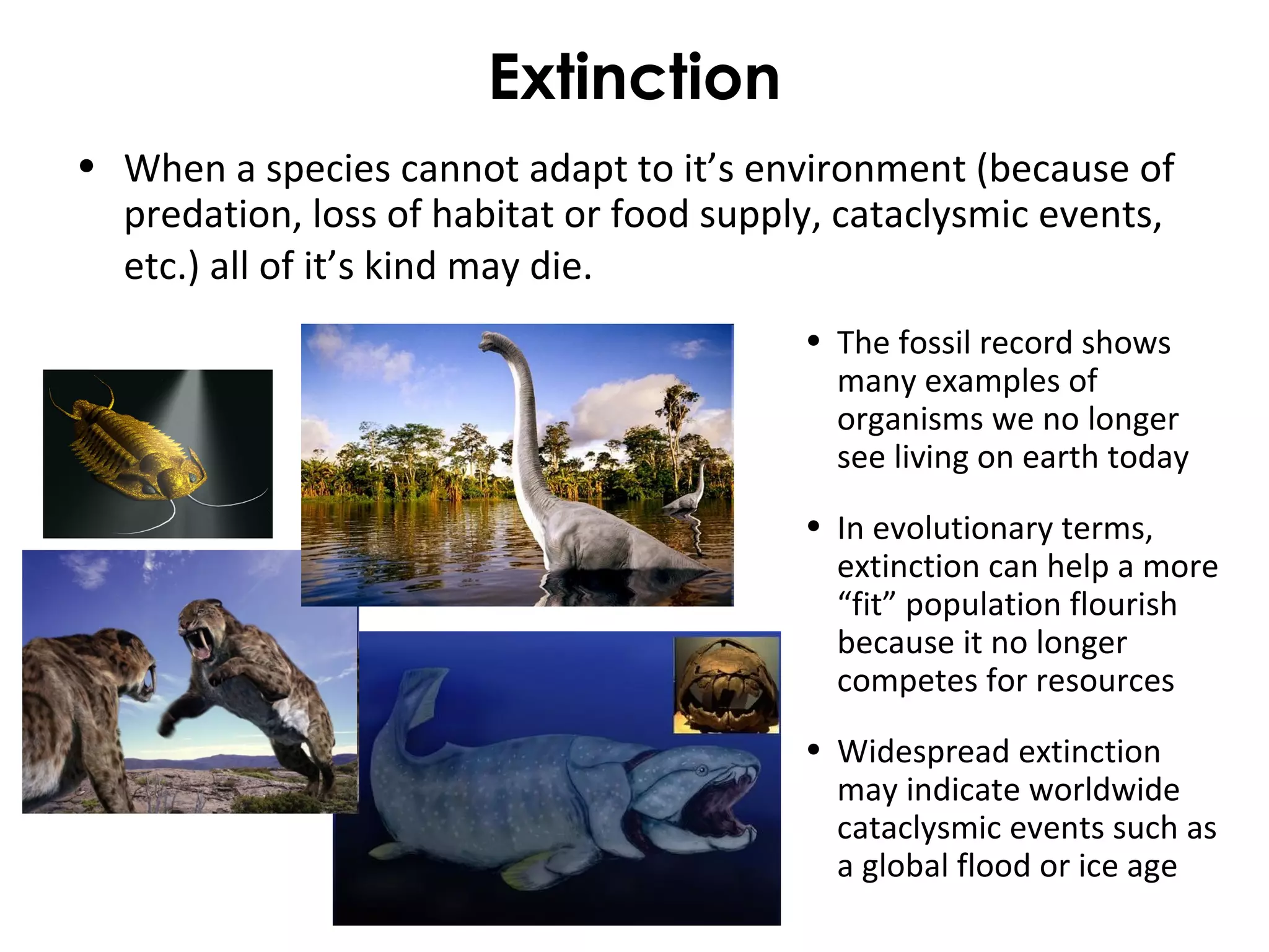 Extinction 
• When a species cannot adapt to it’s environment (because of 
predation, loss of habitat or food supply, cataclysmic events, 
etc.) all of it’s kind may die. 
• The fossil record shows 
many examples of 
organisms we no longer 
see living on earth today 
• In evolutionary terms, 
extinction can help a more 
“fit” population flourish 
because it no longer 
competes for resources 
• Widespread extinction 
may indicate worldwide 
cataclysmic events such as 
a global flood or ice age 
 