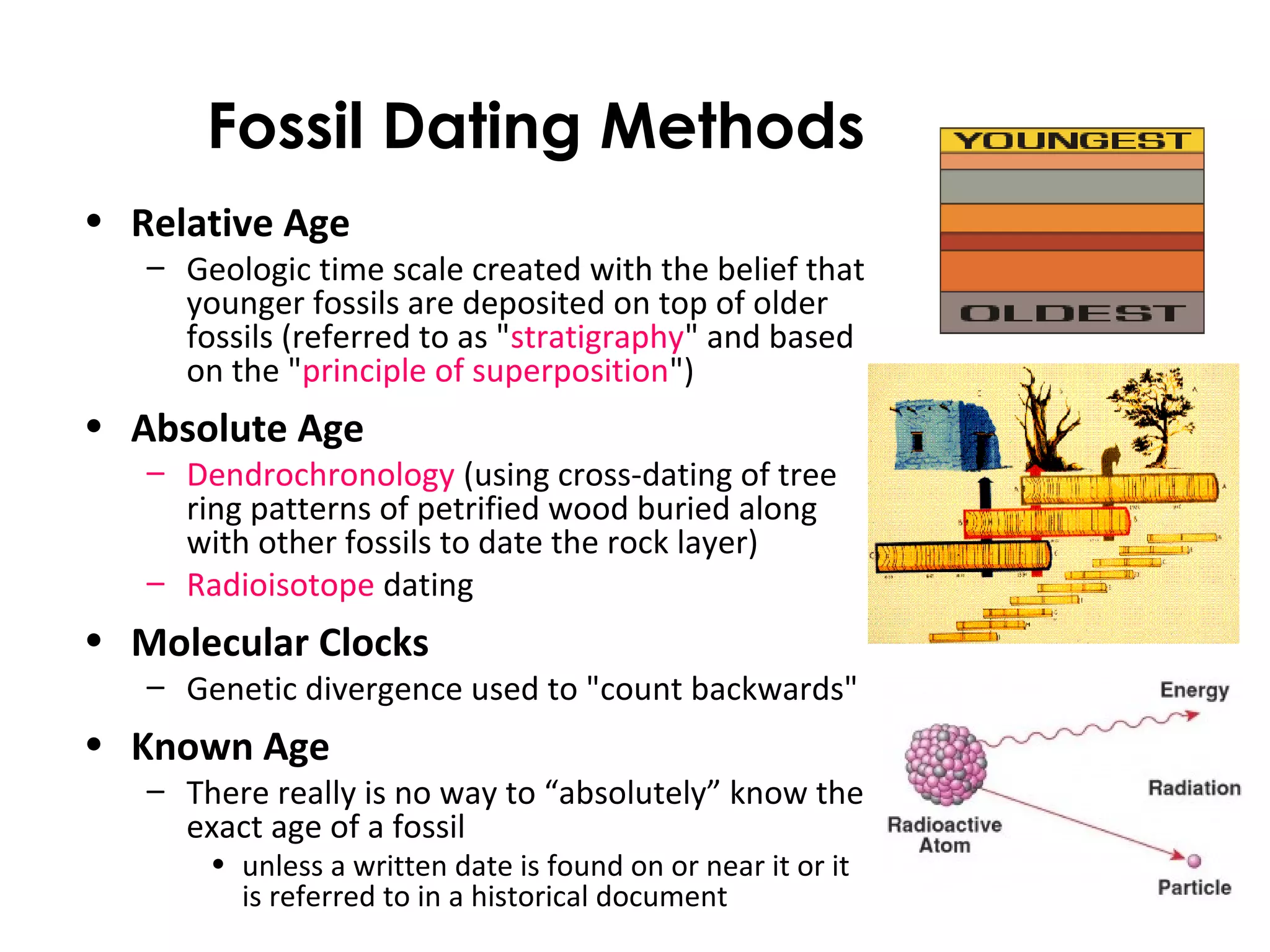 Fossil Dating Methods 
• Relative Age 
– Geologic time scale created with the belief that 
younger fossils are deposited on top of older 
fossils (referred to as "stratigraphy" and based 
on the "principle of superposition") 
• Absolute Age 
– Dendrochronology (using cross-dating of tree 
ring patterns of petrified wood buried along 
with other fossils to date the rock layer) 
– Radioisotope dating 
• Molecular Clocks 
– Genetic divergence used to "count backwards" 
• Known Age 
– There really is no way to “absolutely” know the 
exact age of a fossil 
• unless a written date is found on or near it or it 
is referred to in a historical document 
 
