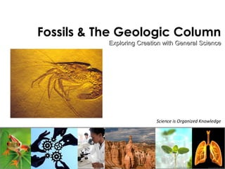Fossils & The Geologic Column 
Exploring Creation with GGeenneerraall SScciieennccee 
Science is Organized Knowledge 
 