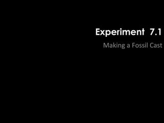Experiment 7.1 
Making a Fossil Cast 
 