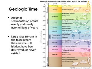 Geologic Time 
• Assumes 
sedimentation occurs 
evenly and slowly 
over millions of years 
• Large gaps remain in 
the fossil record – 
they may be still 
hidden, have been 
destroyed, or never 
existed 
 